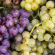Variedades de uva en Asturias